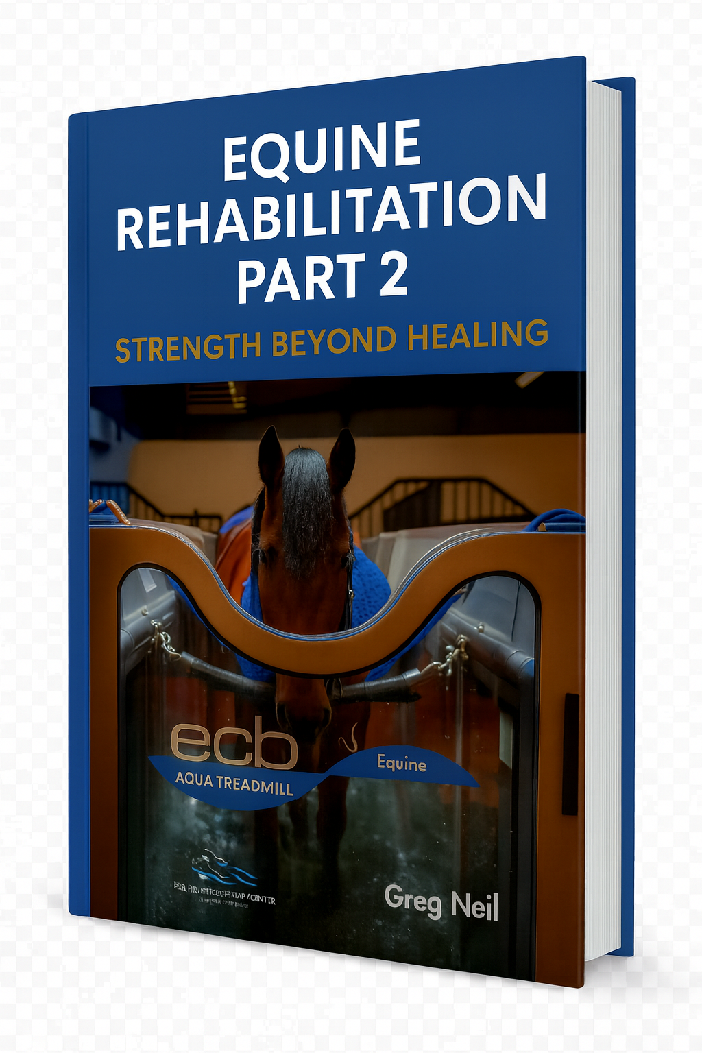 Equine Rehabilitation Part 2: Strength Beyond Healing