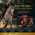 Equine Lameness Guide: Spot the Signs Earlier