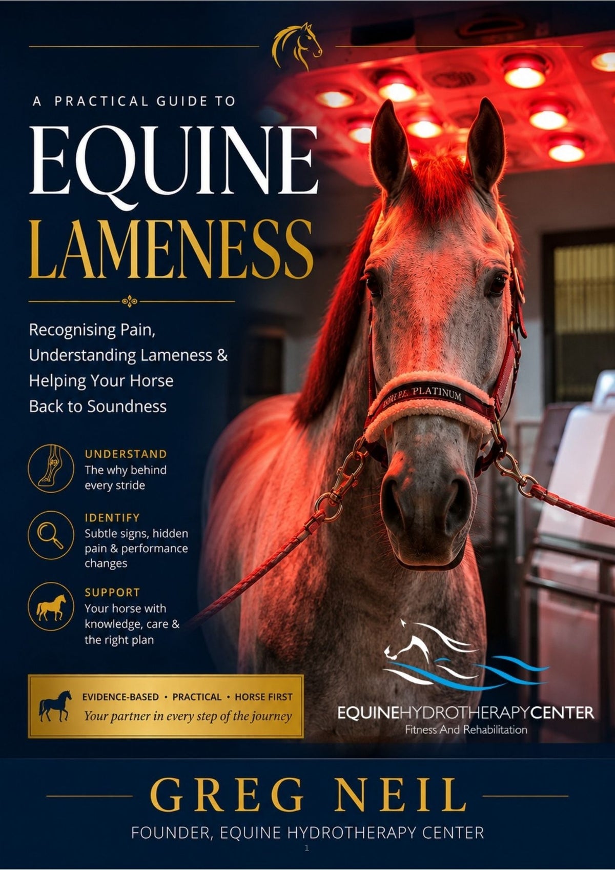 Equine Lameness Guide: Spot the Signs Earlier